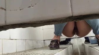 Technical Ditch Toilet