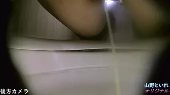 15390848 Mountain public toilet, 2 turtles ⑫, Voyeur Collection, PissRIP
