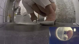 beautiful women peeing in the toilet, Voyeur Collection, PissRIP