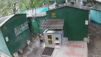CCTV behind garages caught pissing woman, Voyeur Collection, PissRIP