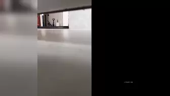 China Toilet Voyeur 1609