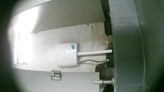 Summary Panoramic View (Short Beauty) 22V