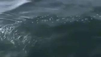 mar piss