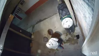 yt Public Urination - ladies are back..., Voyeur Collection, PissRIP
